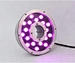 led fountain light